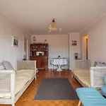 Apartment Cosy A Biarritz, Proche Des Commerces Et Plages, Avec Parking Et Balcon - Fr-1-3-607 Biarritz